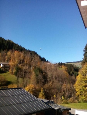 Отель Appartement Deisl, Ваграйн
